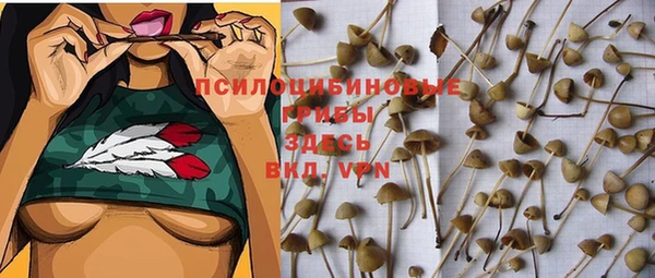 мяу мяу мука Инта