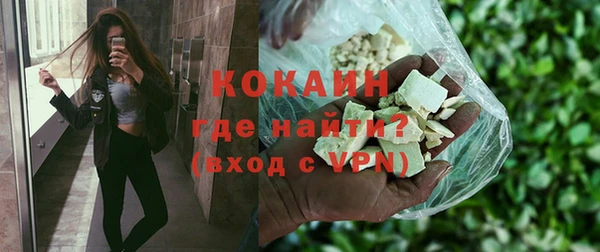 дживик Щучье